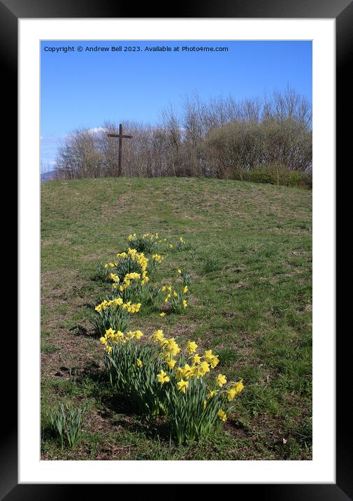 Easter Cross daffodils Framed Mounted Print by Andrew Bell