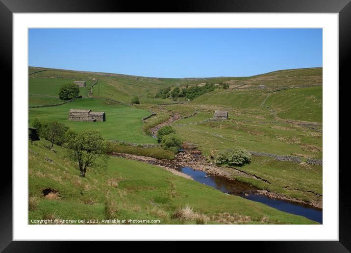 Serene Swaledale Framed Mounted Print by Andrew Bell