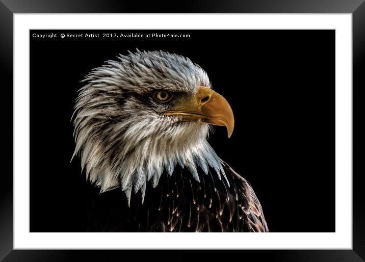 Golden Eagle Framed Mounted Print by Secret Artist