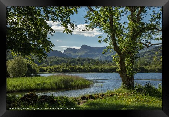Elterwater and the Langdale Pikes Framed Print by Liz Withey