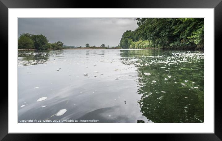 River Lune Swim Framed Mounted Print by Liz Withey