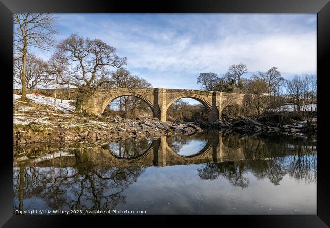 Outdoor  Framed Print by Liz Withey