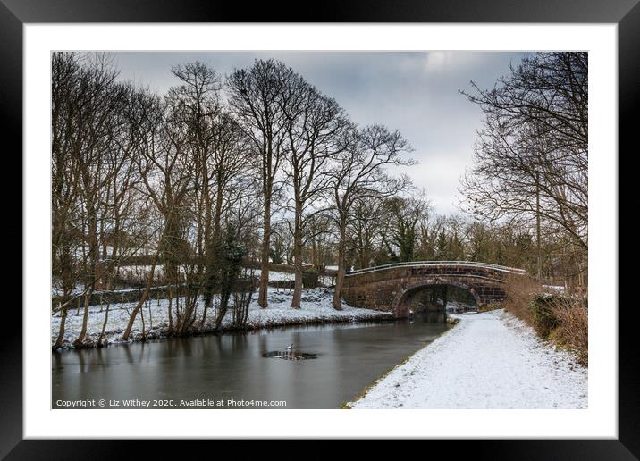 Lancaster Canal in Winter Framed Mounted Print by Liz Withey