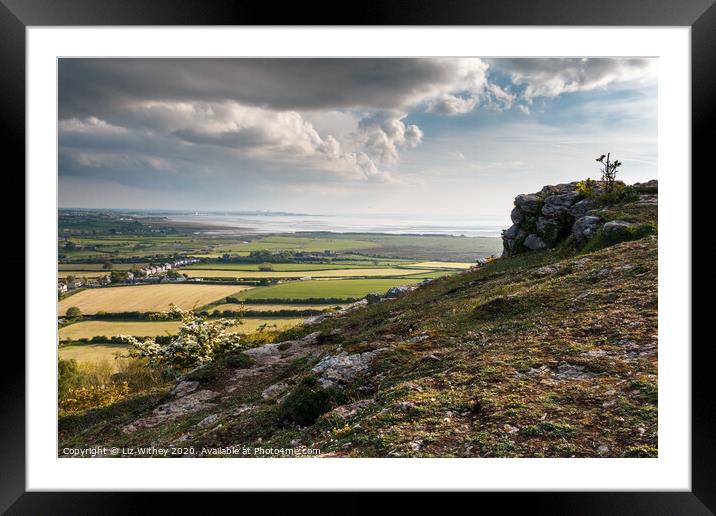 Morecambe Bay from Warton Crag Framed Mounted Print by Liz Withey