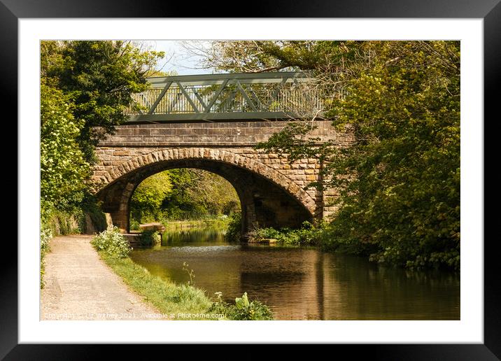 Green Bridge, Carnforth Framed Mounted Print by Liz Withey
