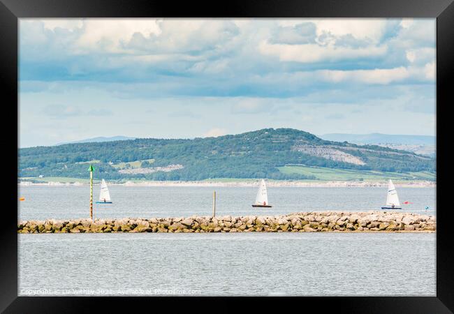 Sailing, Morecambe Bay Framed Print by Liz Withey