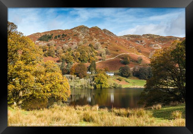 Loughrigg Fell and Tarn Framed Print by Liz Withey