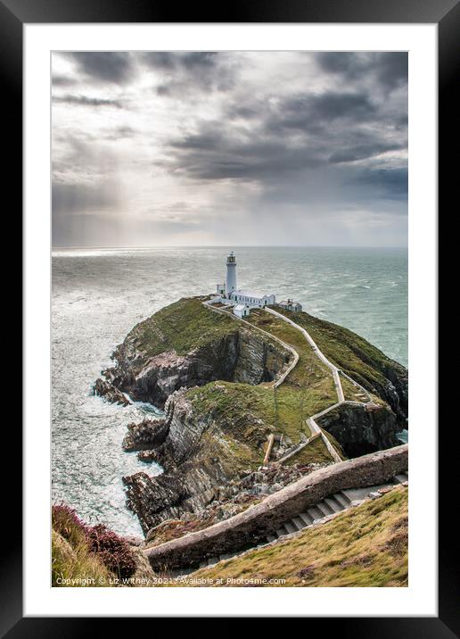 South Stack, Angelsey Framed Mounted Print by Liz Withey