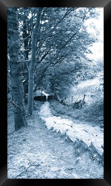 Kissing Gate Path Framed Print by Lee Silcock