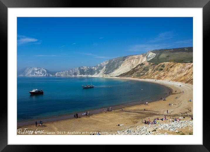 Worbarrow Bay Framed Mounted Print by Terry Lucas