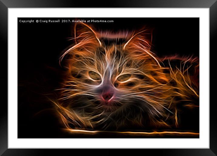 Electric effect Glowing Cat Framed Mounted Print by Craig Russell