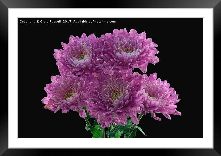 Artistic Effect Chrysanthemums Framed Mounted Print by Craig Russell