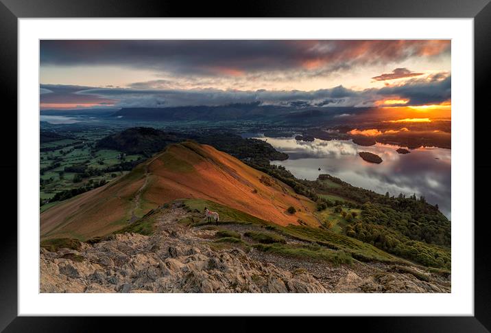 Catbells Summit. Framed Mounted Print by Craig Breakey