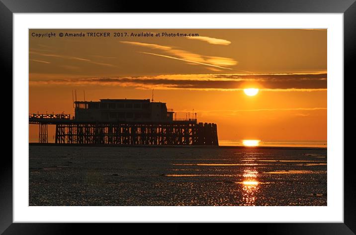 Sun Rise at Worthing Pier   Framed Mounted Print by AMANDA TRICKER