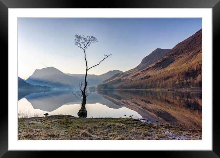 The Lone Tree Buttemere Framed Mounted Print by James Marsden