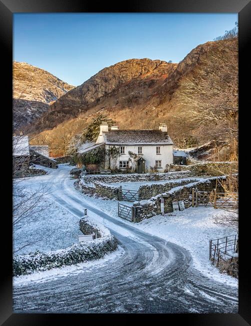 Majestic Yew Tree Farmhouse Framed Print by James Marsden