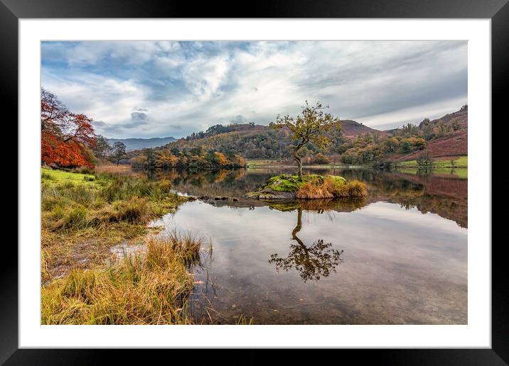 Autumn at the Lone Tree Framed Mounted Print by James Marsden