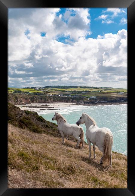 Welsh Ponies Church Bay Framed Print by North Wales Photography