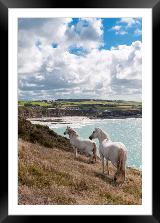 Welsh Ponies Church Bay Framed Mounted Print by North Wales Photography