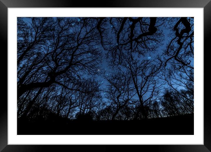 Orion in the trees Framed Mounted Print by Pete Collins