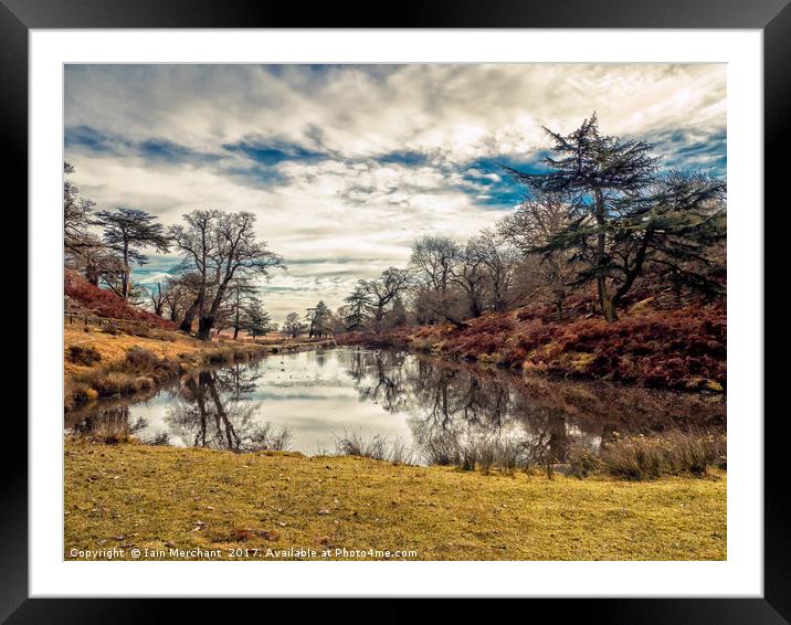 Bradgate Park in Autumn Framed Mounted Print by Iain Merchant