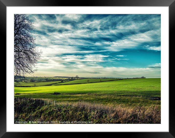 Sunlit Fields Framed Mounted Print by Iain Merchant