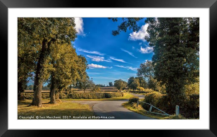 Twists & Turns Framed Mounted Print by Iain Merchant