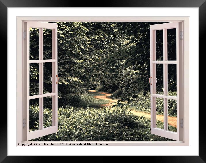 Window into the Forest Framed Mounted Print by Iain Merchant