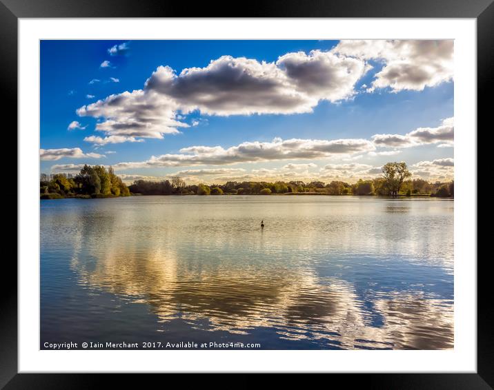 Loner on the Lake Framed Mounted Print by Iain Merchant