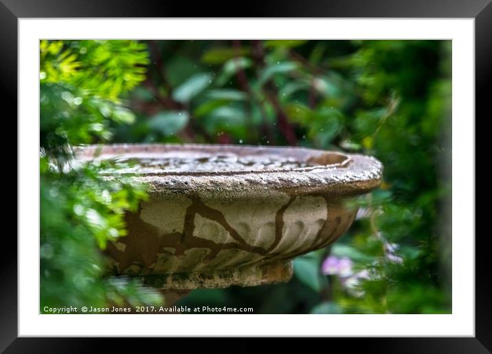 Stone Birdbath / Bird Bath (Water) Framed Mounted Print by Jason Jones