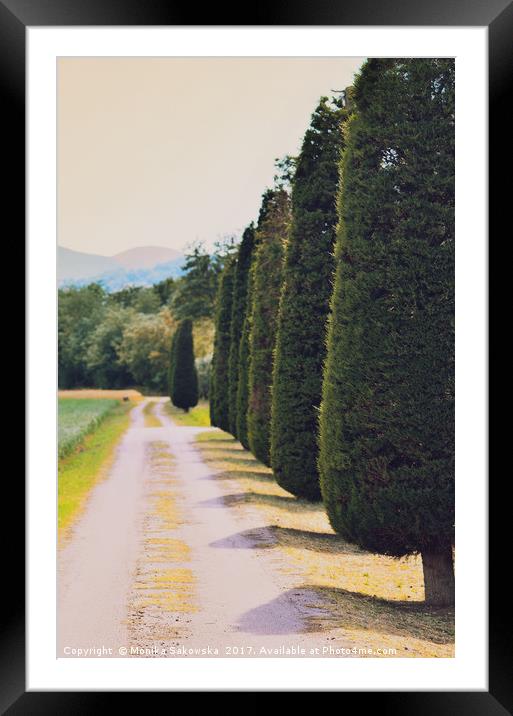  Country Road with Cypress Tree Framed Mounted Print by Monika Sakowska