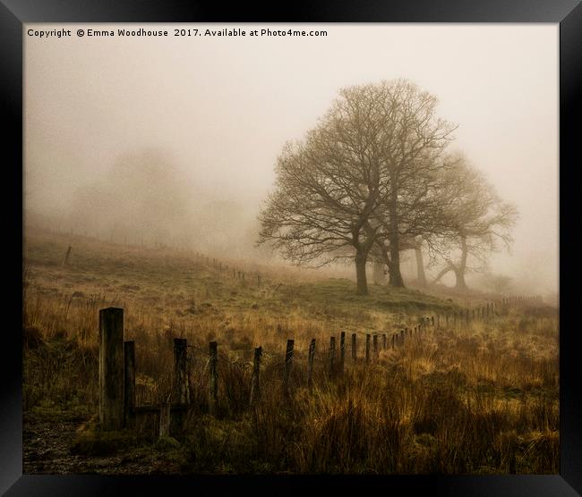 Misty Trees Framed Print by Emma Woodhouse