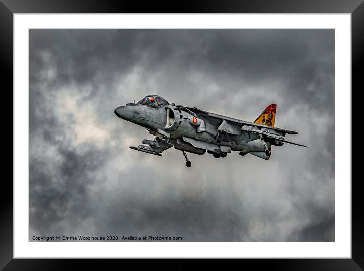 Spanish Harrier Framed Mounted Print by Emma Woodhouse
