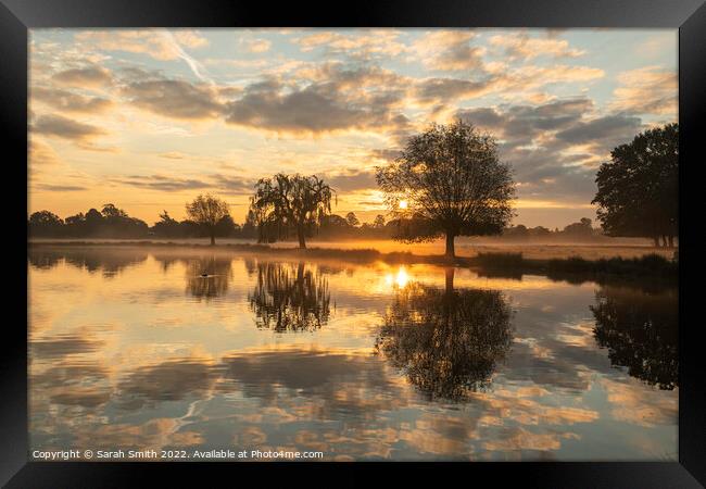 Golden Sunrise at the pond Framed Print by Sarah Smith