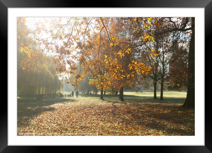 Autumn in Manor Park, Aldershot Framed Mounted Print by Sarah Smith