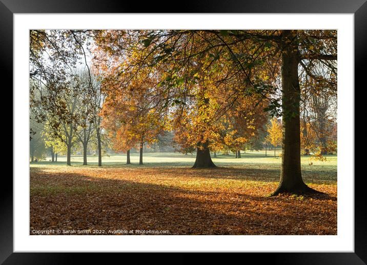 Manor Park Autumnal Scene Framed Mounted Print by Sarah Smith