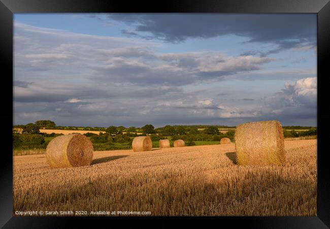 Straw bales in field late afternoon Framed Print by Sarah Smith