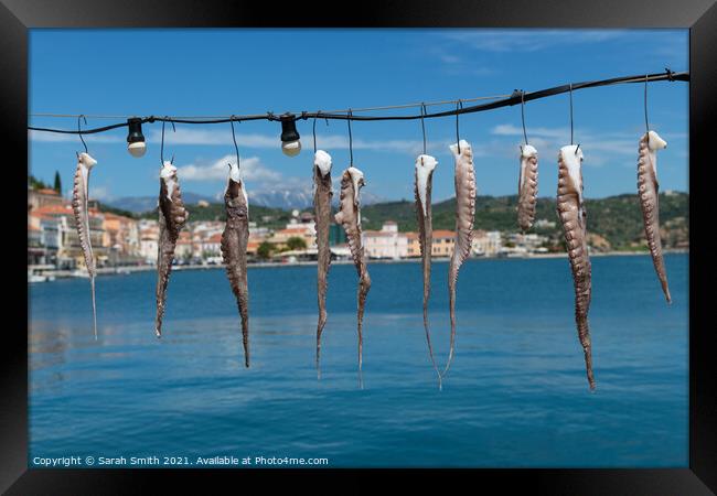 Fresh Calamari hung out to dry Framed Print by Sarah Smith
