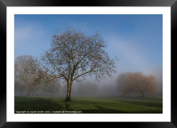 Sun Shines Through The Mist Framed Mounted Print by Sarah Smith