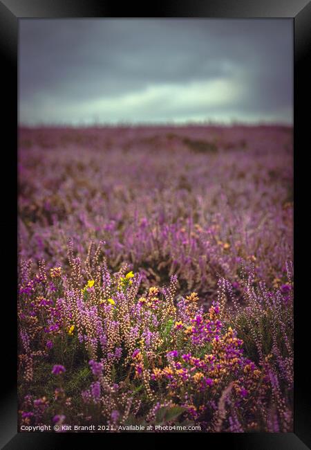 New Forest Heather and Gorse Framed Print by KB Photo