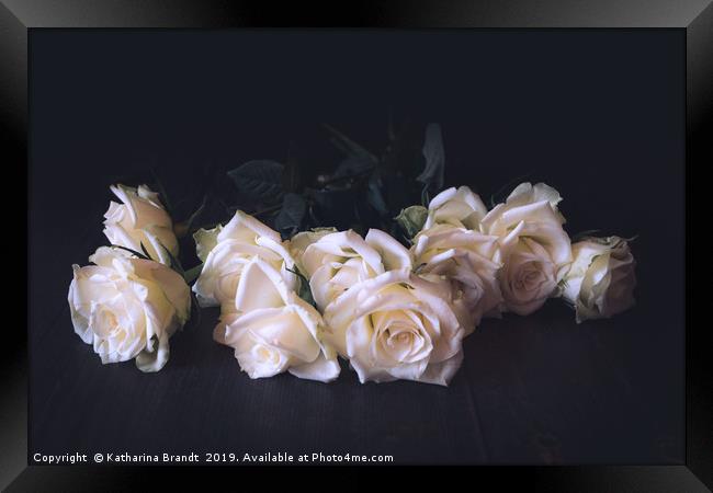 White roses vintage toned Framed Print by KB Photo