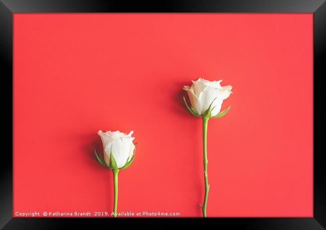 White roses still life Framed Print by KB Photo