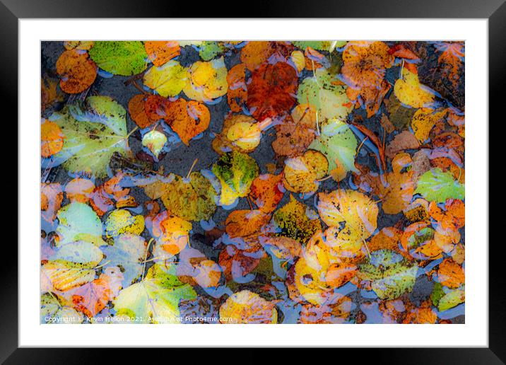 Autumn colours Framed Mounted Print by Kevin Hellon