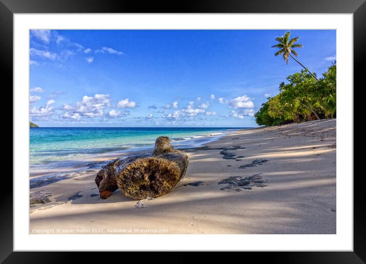 Log on beach, Dravuni Island, Fiji, South Pacific Framed Mounted Print by Kevin Hellon