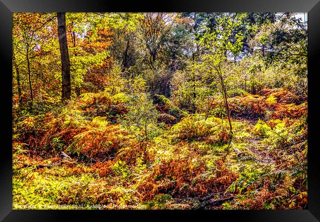 Colours of the forest Framed Print by Kevin Hellon