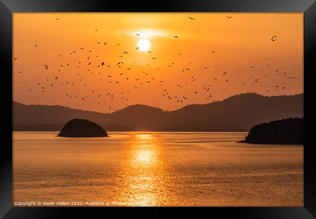Birds at sunset Framed Print by Kevin Hellon