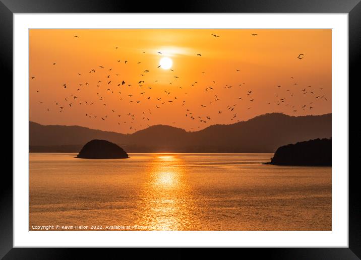 Birds at sunset Framed Mounted Print by Kevin Hellon
