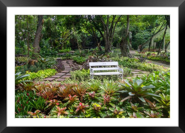 Garden Bench Framed Mounted Print by Kevin Hellon