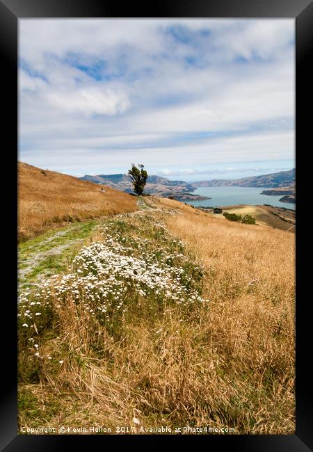 Grass and wild flowers on a hill overlooking the n Framed Print by Kevin Hellon