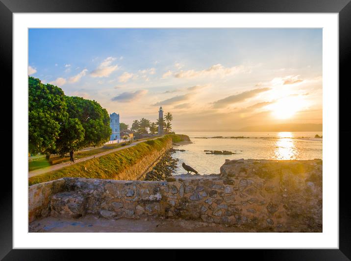 Bird on wall with Galle Fort lighthouse Framed Mounted Print by Kevin Hellon